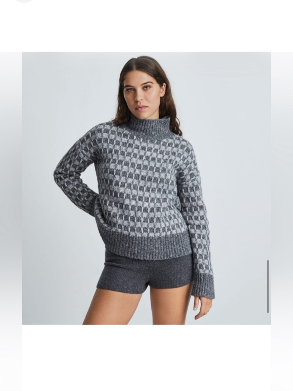 Everlane Sweater Xs Wool Alpaca Gray